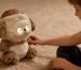 Interactive AI Plush Toy Manufacturer