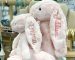 rabbit plush toy