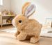 Smart Plush Toy